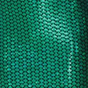 Swatch-Green fish scale